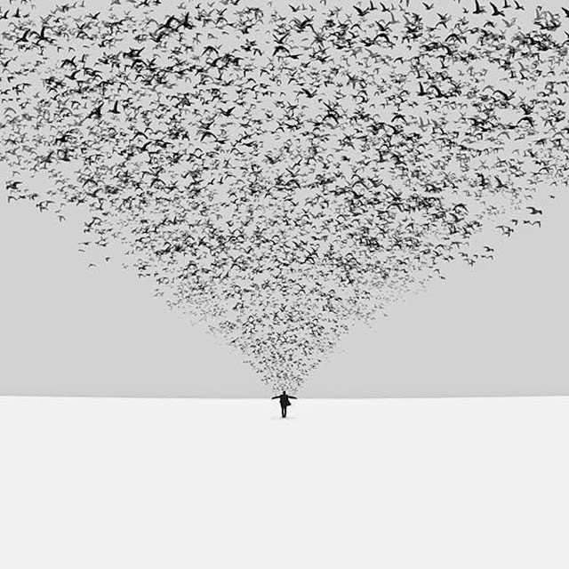 Hossein Zare，极简摄影作品 ...