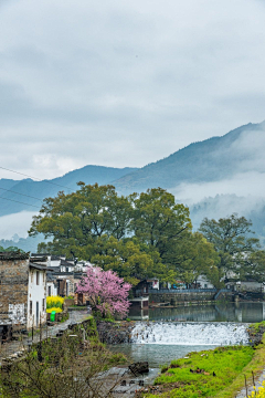 蝉鸣223采集到日式场景