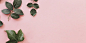 夏季粉色小清新海报背景-粉色背景-粉色系-粉色设计-粉色素材-粉色背景banner