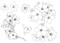 向日葵·樱花及其他花朵线稿（PNG版） - 优动漫 动漫创作支援平台