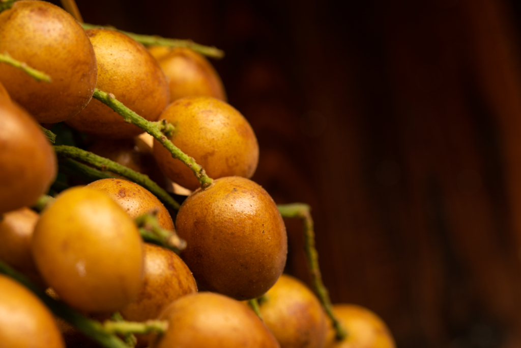 e99bcbf690125dfe25b6d867d569fc61c6211bca57e04-alHWDH