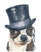 Dog Watercolor, Boston Terrier - Original 8x10 Painting, Top Hat, Monocle