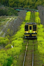 Railways - Chiba, Japan