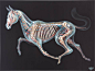 奥地利著名街头艺术家 Nychos （O尖峰视界）热衷于描绘生物的解剖结构。这组惊人的透明动物是他最新的画作～
