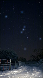 Snowy Orion: 