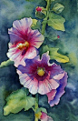 Sunny Pink Hollyhock by Ann Mortimer | Redbubble