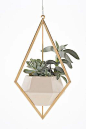 Tetra Planter by Light + Ladder : solid brass and ceramic