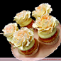 Peony Cupcake