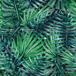 [编号405]绿色热带雨林棕榈叶芭蕉叶无缝图案EPS矢量素材-淘宝网