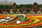 最美迪拜奇迹花园Dubai Miracle Garden设计