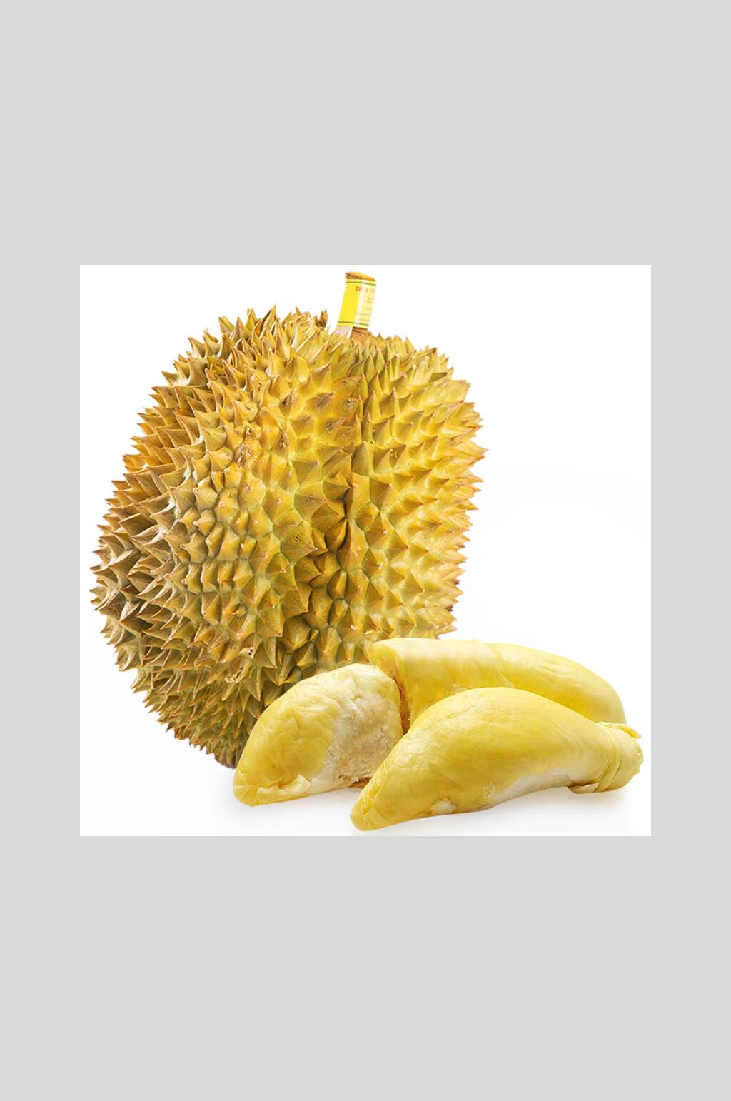 ea10f1e6e8234cd64a253cc451902da1b81527e51607a-k8NRXB