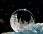 图片：archiemcphee: Frozen bubbles are super awesome,... - ワンダと巨像 : 在 Google 上搜索到的图片（来源：wandirge.tumblr.com）