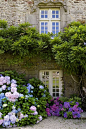 Stone house & hydrangeas.