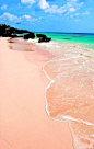 粉红色的沙滩。 百慕大。