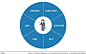 The Customer Life Cycle Shapes Customer-Obsession Decisions -- Forrester Research