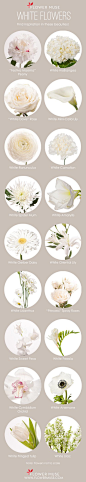 Flower Muse  Our Favorite: White Flowers http://www.flowermuse.com/blog/our-favorite-white-flowers/: 