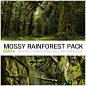 gaelle-seguillon-gumroad-mossyrainforest-cover.jpg (1005×1005)