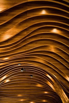 The wooden ceiling c...