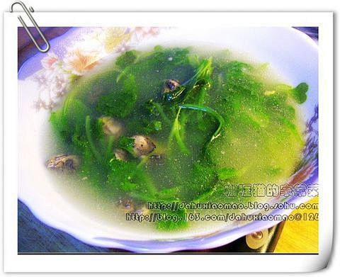 小白菜牡蛎汤的做法_小白菜牡蛎汤的家常做...