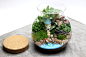 Ecoecho苔藓微景观 苔藓瓶生态瓶 创意绿植【海的女儿】-淘宝网