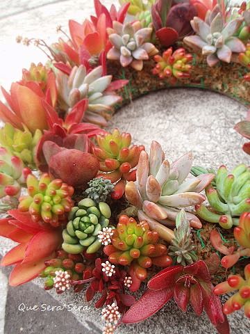 Freshy-plant wreath