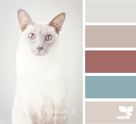 color purr