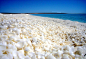 地球上最美好的10大海滩——贝壳海滩（鲨鱼湾，西澳大利亚）
       
       这个海滩是由绵延约70英里的贝壳组成，整个贝壳层有7-10米厚。由于附近水域的含盐量较高，贝壳生物的天敌都无法在这里生存，所以它们大量繁殖。这里是两个仅有的完全由贝壳覆盖的海滩之一。