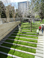 cool grass steps for dog run...Nasher Sculpture Garden