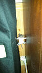 【7.3】网友自己家一只老鼠陷入了奇怪的模式。。