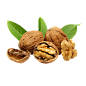 walnut_PNG48
