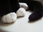 治愈系图片：萌萌的猫爪图片 (2)