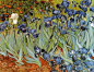 No9:《鸢尾花》于1889年5月完成。鸢尾花是同向日葵一样，凡高似乎也喜欢画这种植物。1892年，唐基(凡高的朋友)以300法郎的价格将这幅画卖给了评论家奥克塔夫·米尔博--凡高最早的赏识者之一。这幅画像许多其他的凡高的画一样，在他死后不断地买卖。1988年在拍卖会上，有人叫出了5300万美元的天价。