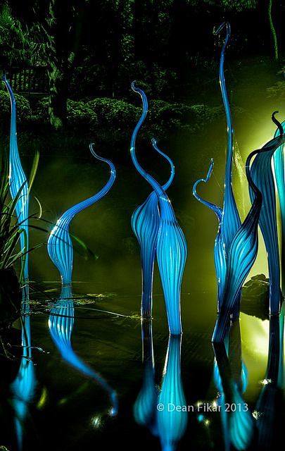 Dale Chihuly Nights ...