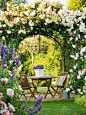 #庭院# #花园# #田园#
Flowered Garden Arch, Provence, France by colorcrazy