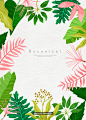 热带植物 花卉 水彩手绘插画PSD_平面设计_绘画插图