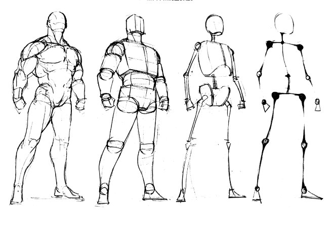 火柴人→骨骼关节→人体体块→人体肌肉