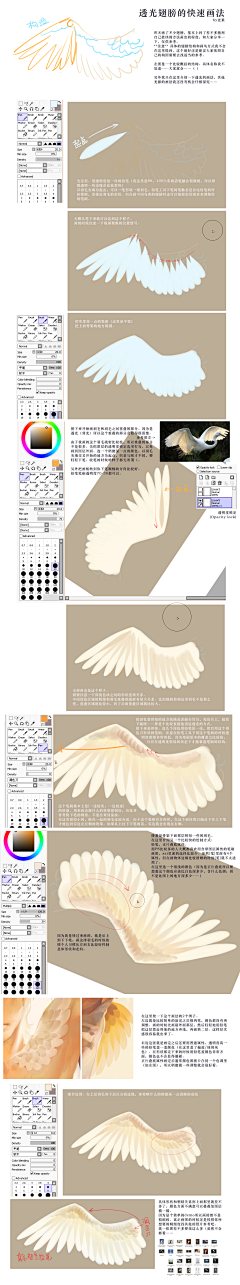 Zer0o采集到p站