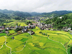 齐尚景观-庭院/文旅采集到大气象配图