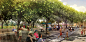 Weddle Gilmore, West 8 and Colwell Shelor Selected to Redesign Arizona's Mesa City Center,Leisure promenade. Image © Colwell Shelor, West 8 and Weddle Gilmore