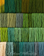 Studio photography of various colors of yarn dyed at the Weaver's shop.  Shot for book by Max Hamerick on dyeing textiles; Greens; Top three rows are Fustic with Indigo; The Bottom row is Annatto Seed with Indigo. Photo by Barbara Temple Lombardi - For th