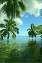 热带海滩天堂-巴哈马 