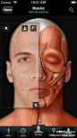 #干货分享# 【医学APP】 Virtual Human Body，这是一个栩栩如生的人体模型结合解剖词典。探讨从人体的头到脚，从皮肤到骨骼的虚拟人体解剖学。ios下载：http://t.cn/RzfvfIa