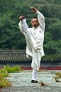 ♂ Martial art Chinese Kungfu Taichi "I am still in good shape" by George Doupas