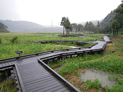 地震＆薄荷采集到湿地