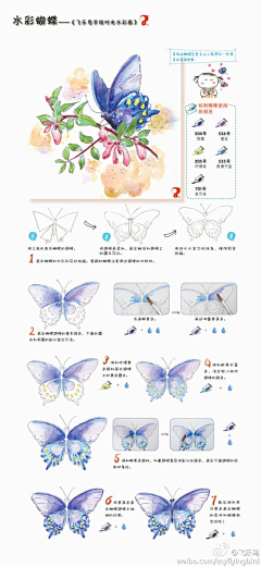 软软软喵子采集到绘画教程