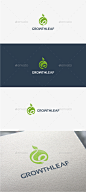 自然增长叶-标志模板标识模板Growth Leaf - Logo Template - Nature Logo Templates业务、护理、清洁、公司、环保、生态、能源、绿色增长,增长,健康,叶子,树叶,标志,自然,植物,专业、独特 business, care, clean, company, eco, ecology, energy, green, grow, growth, health, leaf, leaves, logo, nature, plant, professional, uniqu