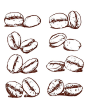 80％的折扣销售咖啡豆手绘矢量，咖啡豆的素描。 手绘…