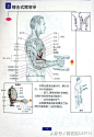 男士健身方案（请收藏）