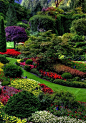 植物层次与色彩搭配（The Butchart gardens） 加拿大布查德花园