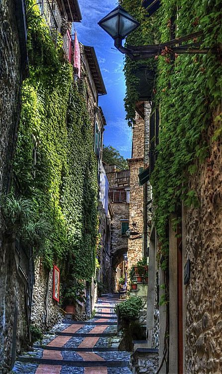 Ivy Walls, Liguria, ...